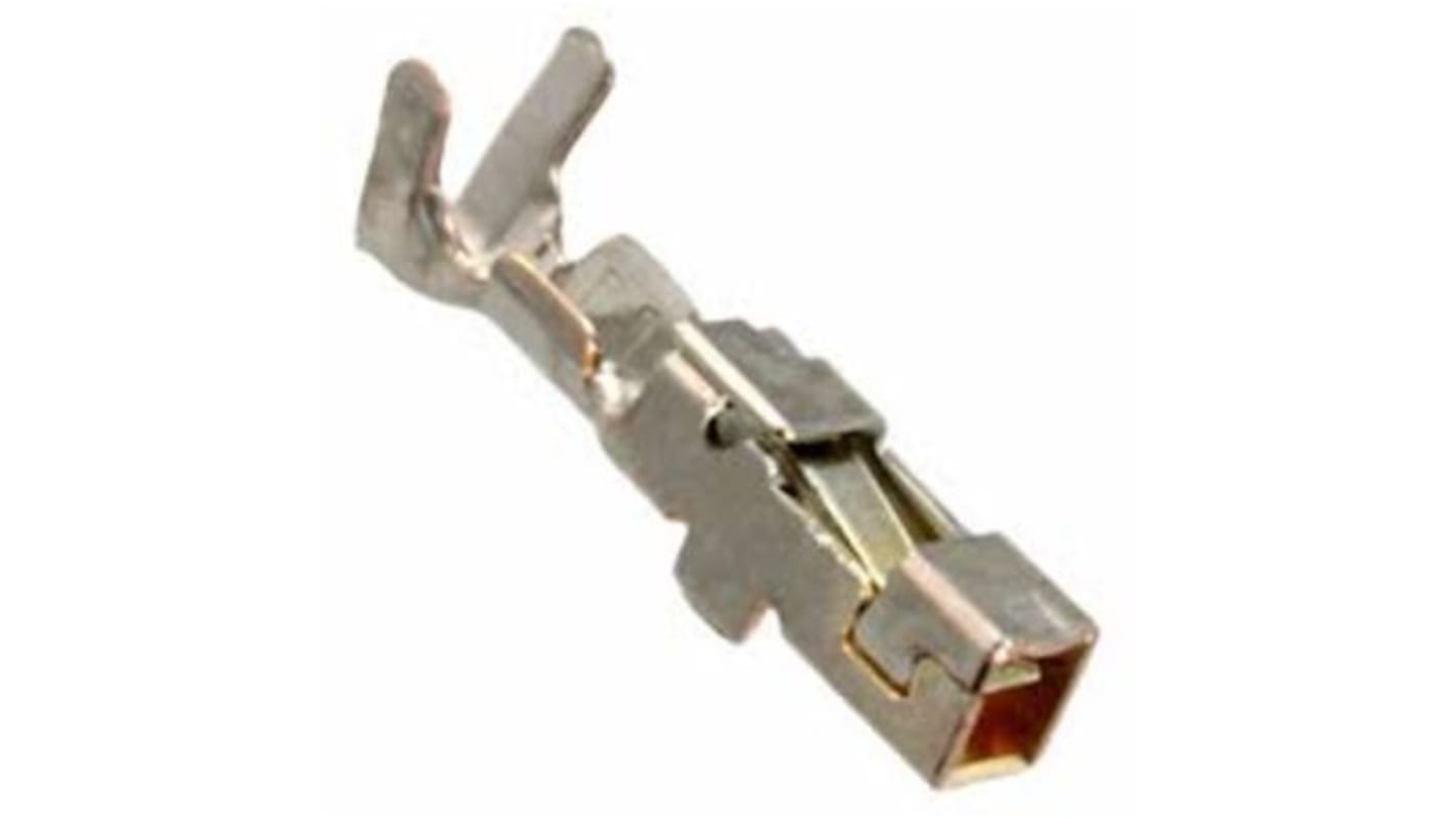 TE Connectivity AMPMODU Series Female Crimp Terminal