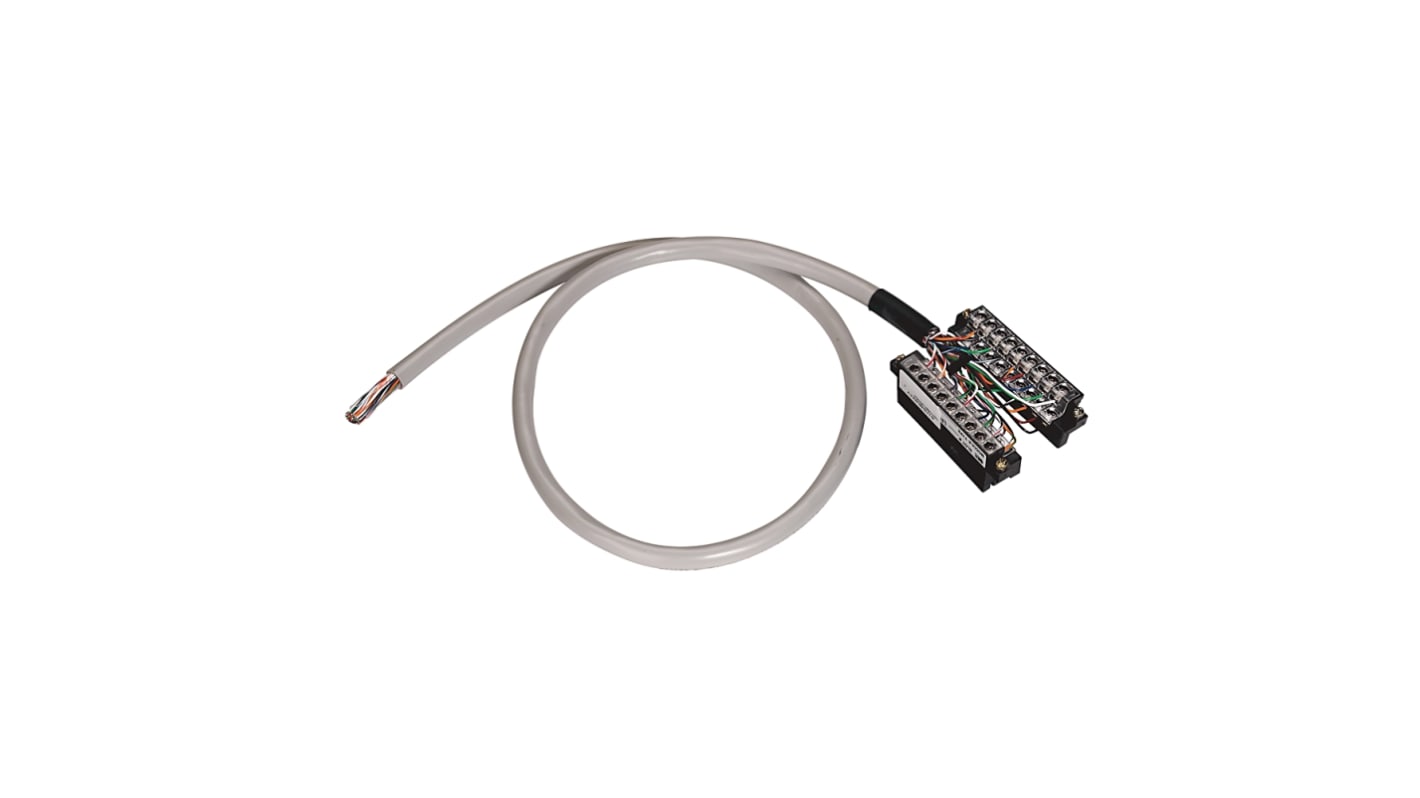 Rockwell Automation PLC Cable for Use with BULLETIN 1492