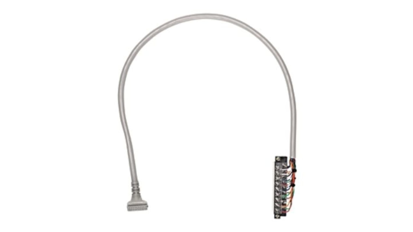 Allen Bradley Connector Cable for Use with 1746 SLC 500, 1756 ControlLogix, 1769 CompactLogix, 1771 PLC-5