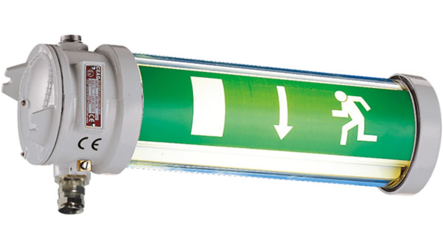 Oprawa przeciwwybuchowa, awaryjna, LED, 220 → 240 V ac