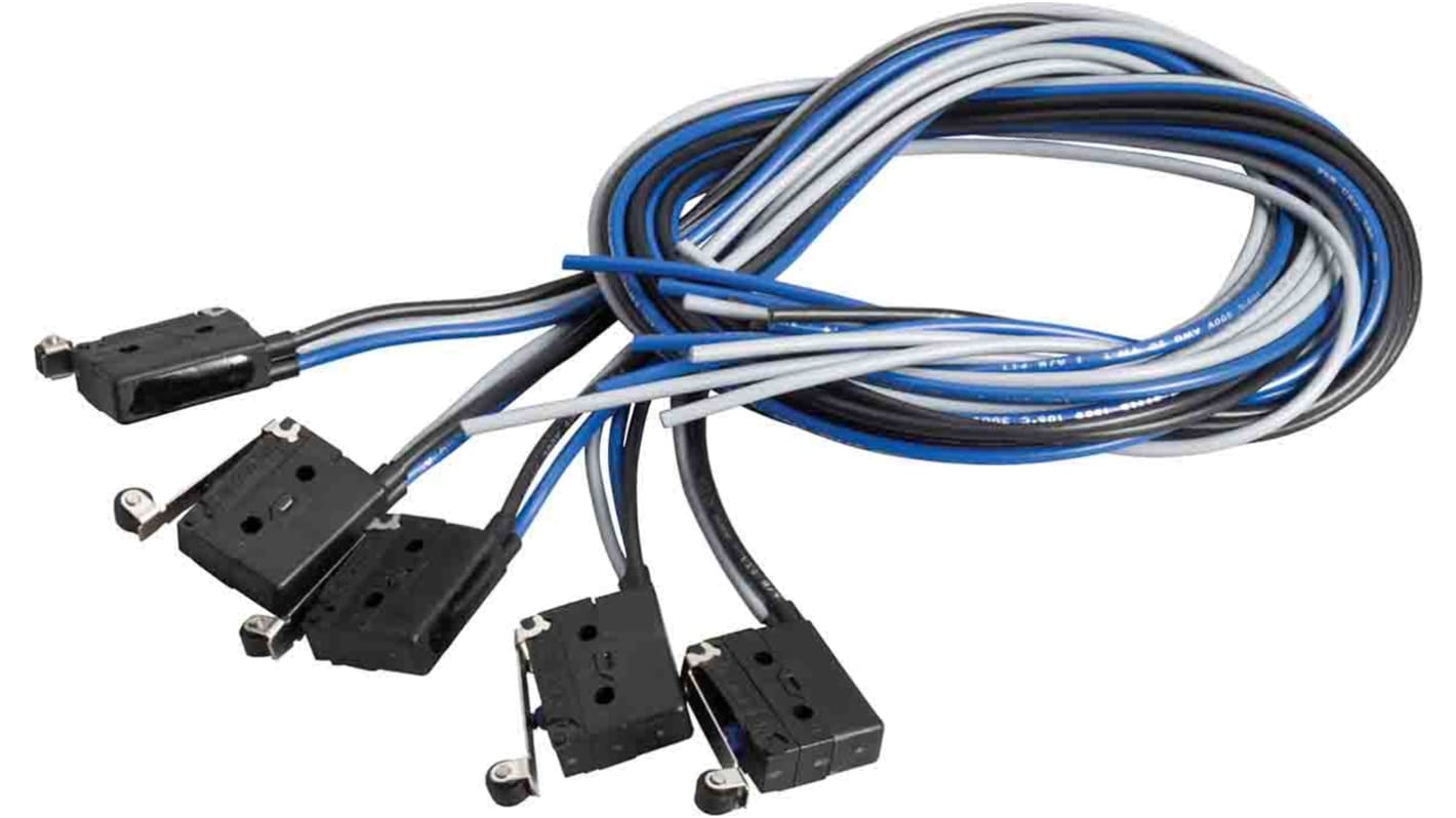 Microinterruptor