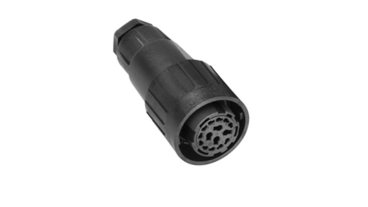 Amphenol Industrial, C16-3 14 Pole M16 Din, DIN EN 60529, 20A, 100 V IP65, Bayonet, Female, Cable Mount