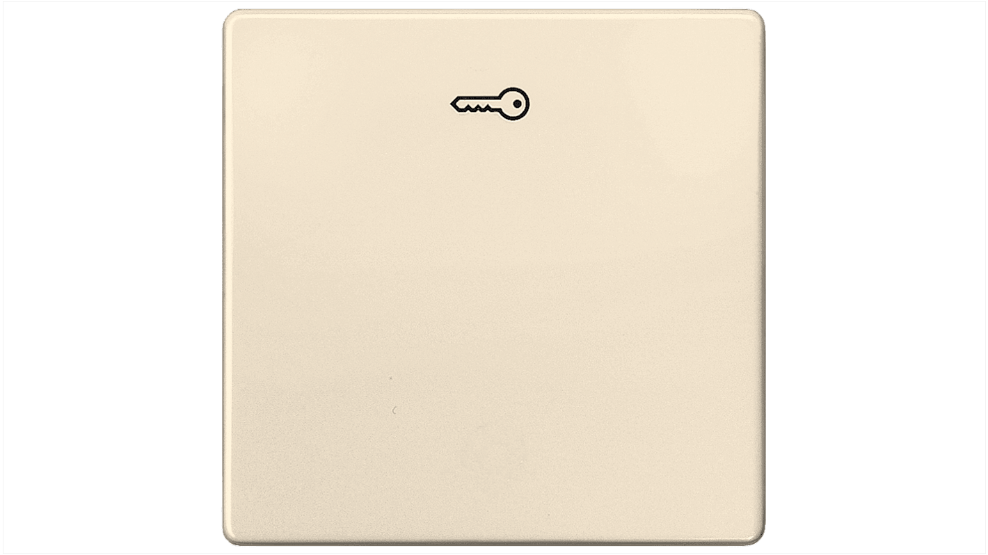Siemens White Thermoplastic Faceplate & Mounting Plate