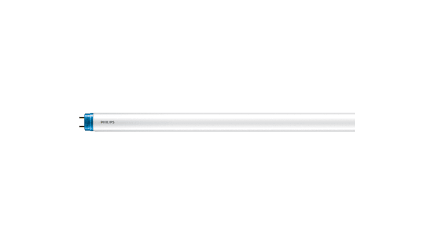 Tubo LED, T8, 8 W, 800 lm 6500K, G13, 240 V ac, 600mm