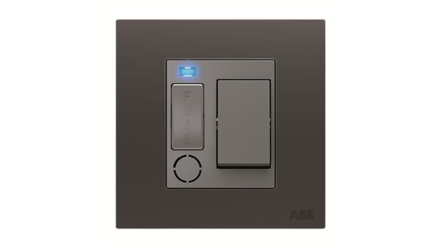 ABB 13A Fused Connection Unit