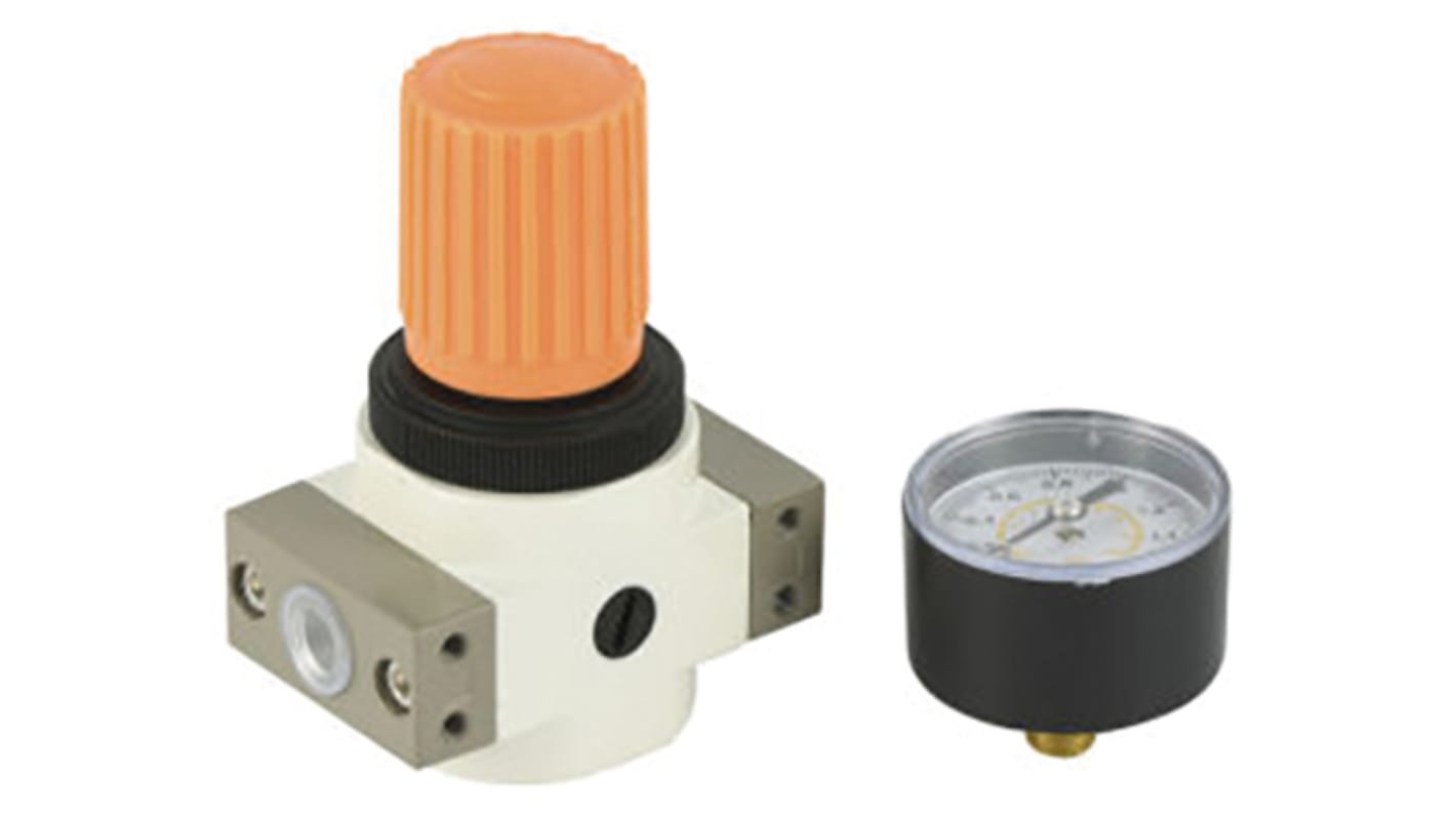 G1/4" FER SERIES MINI REGULATOR