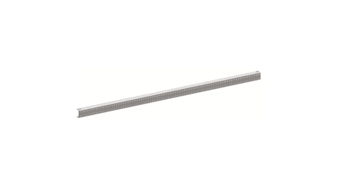 ABB Metal Centre Rail, 250mm W, 304mm L For Use With TriLine
