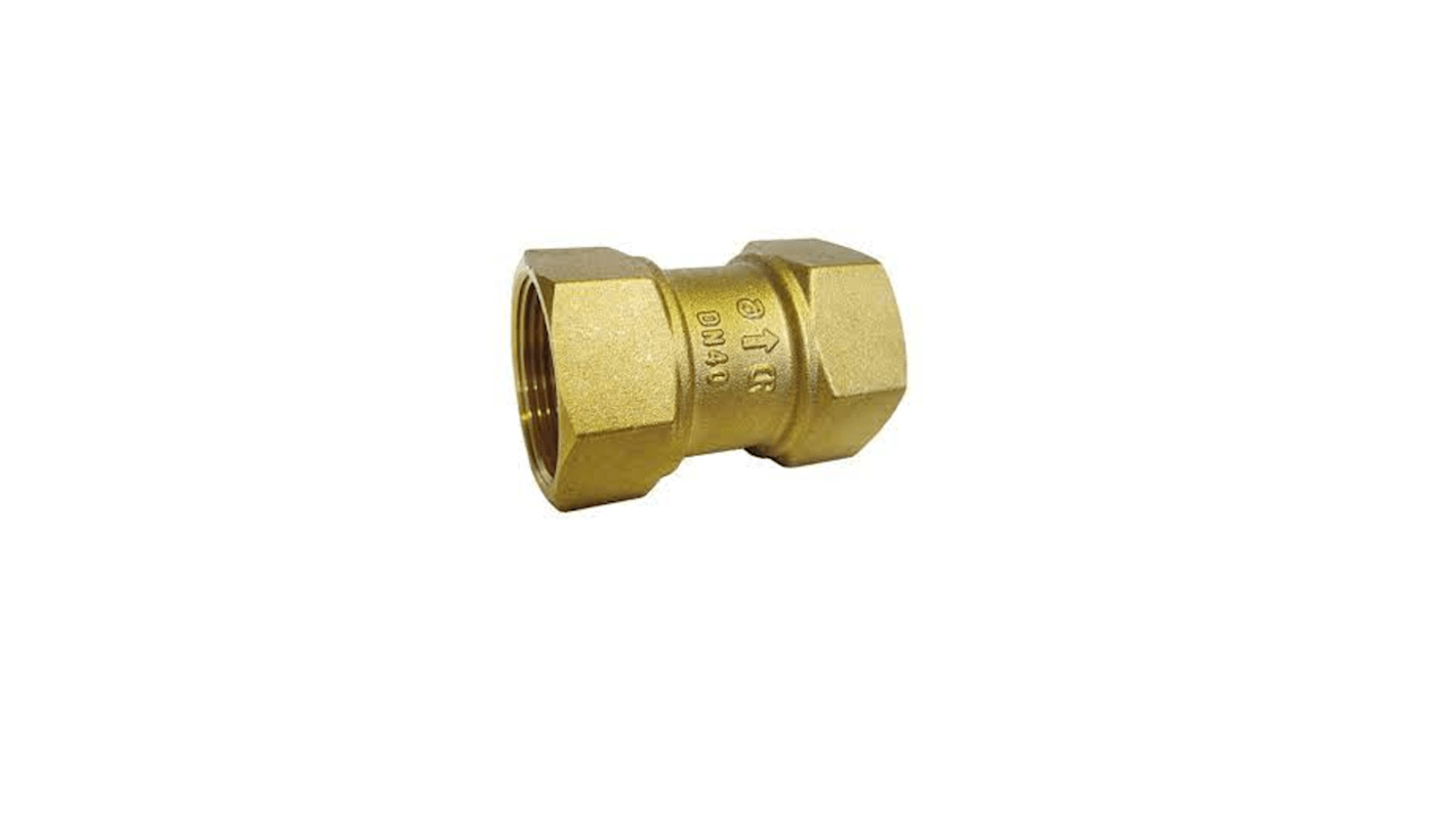 RS PRO DZR Alloy Single Check Valve 2in, 10 bar