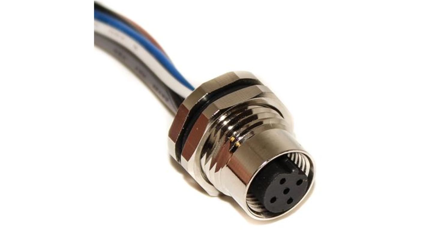 Mueller Electric Straight Female M12 to Unterminated Sensor Actuator Cable, 200mm