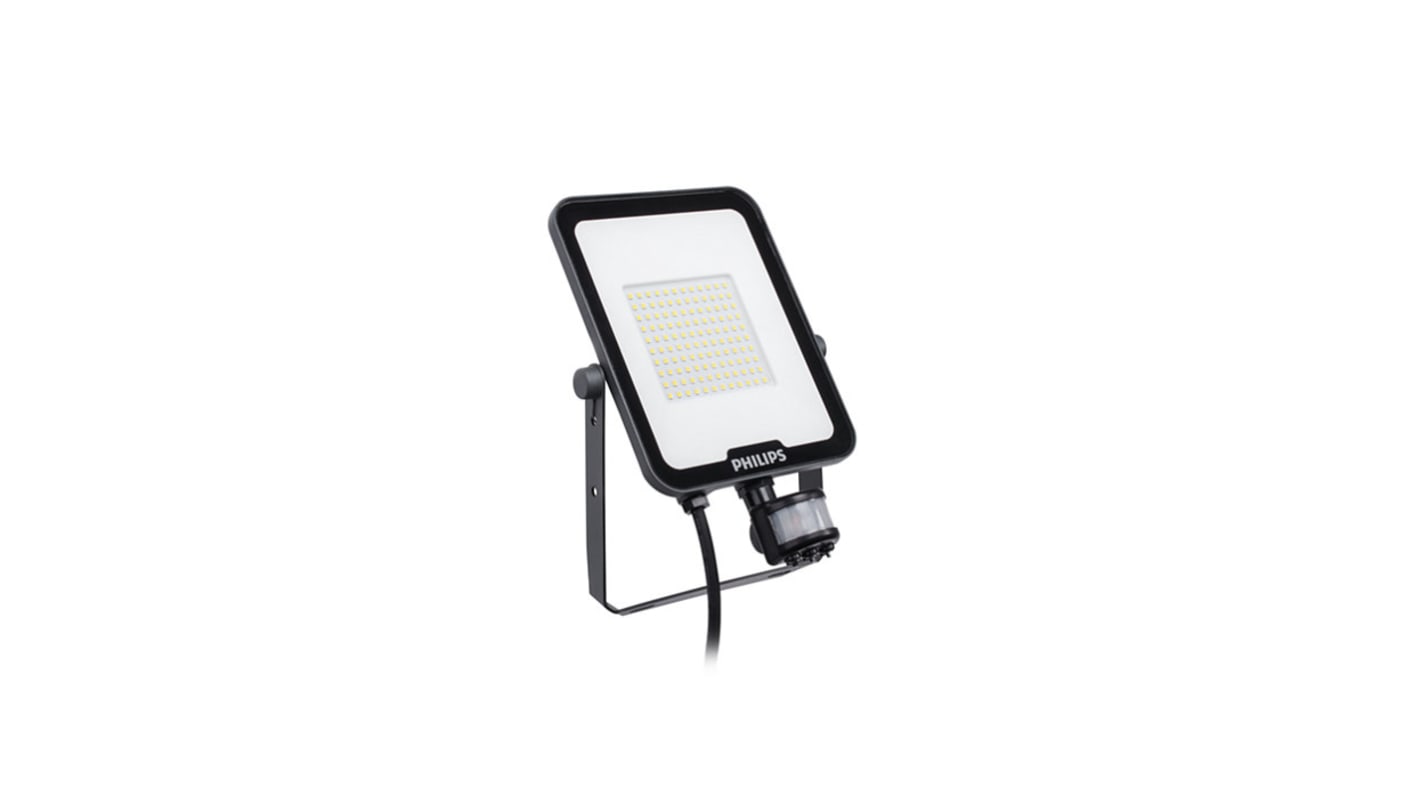 Proiettore Philips Lighting, 220 → 240 V, 20 W, 2200 lm, IP65