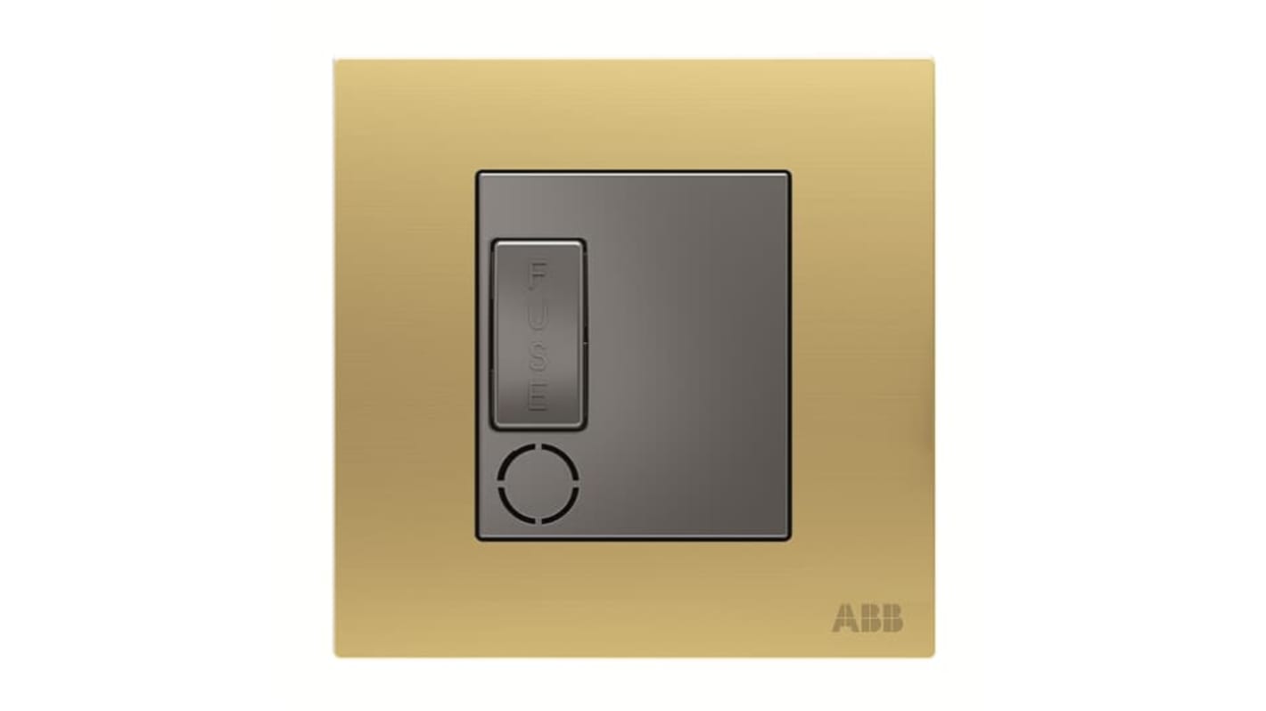 ABB 13A Fused Connection Unit IP20