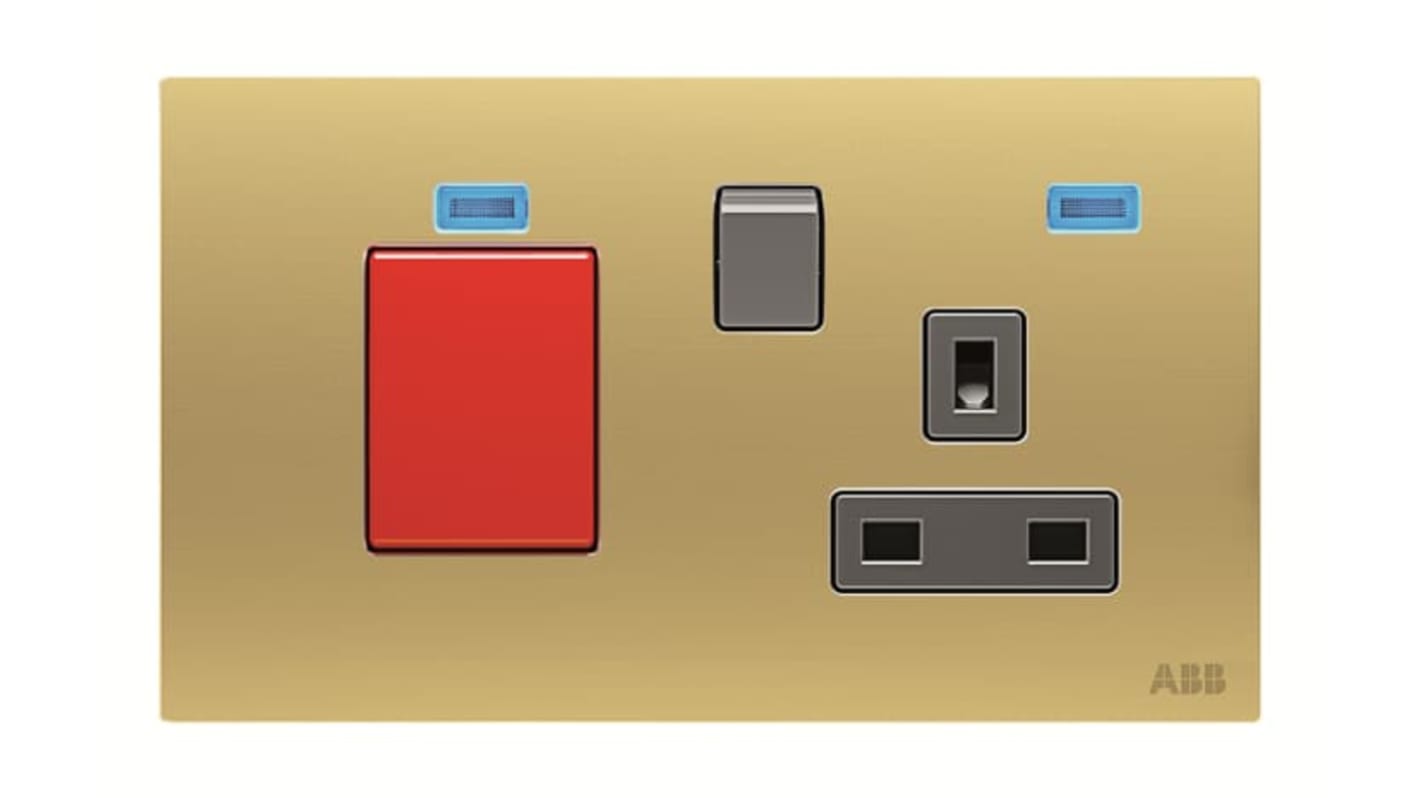 ABB Gold 1 Gang Plug Socket, 2 Poles, 13A, BS, Outdoor Use