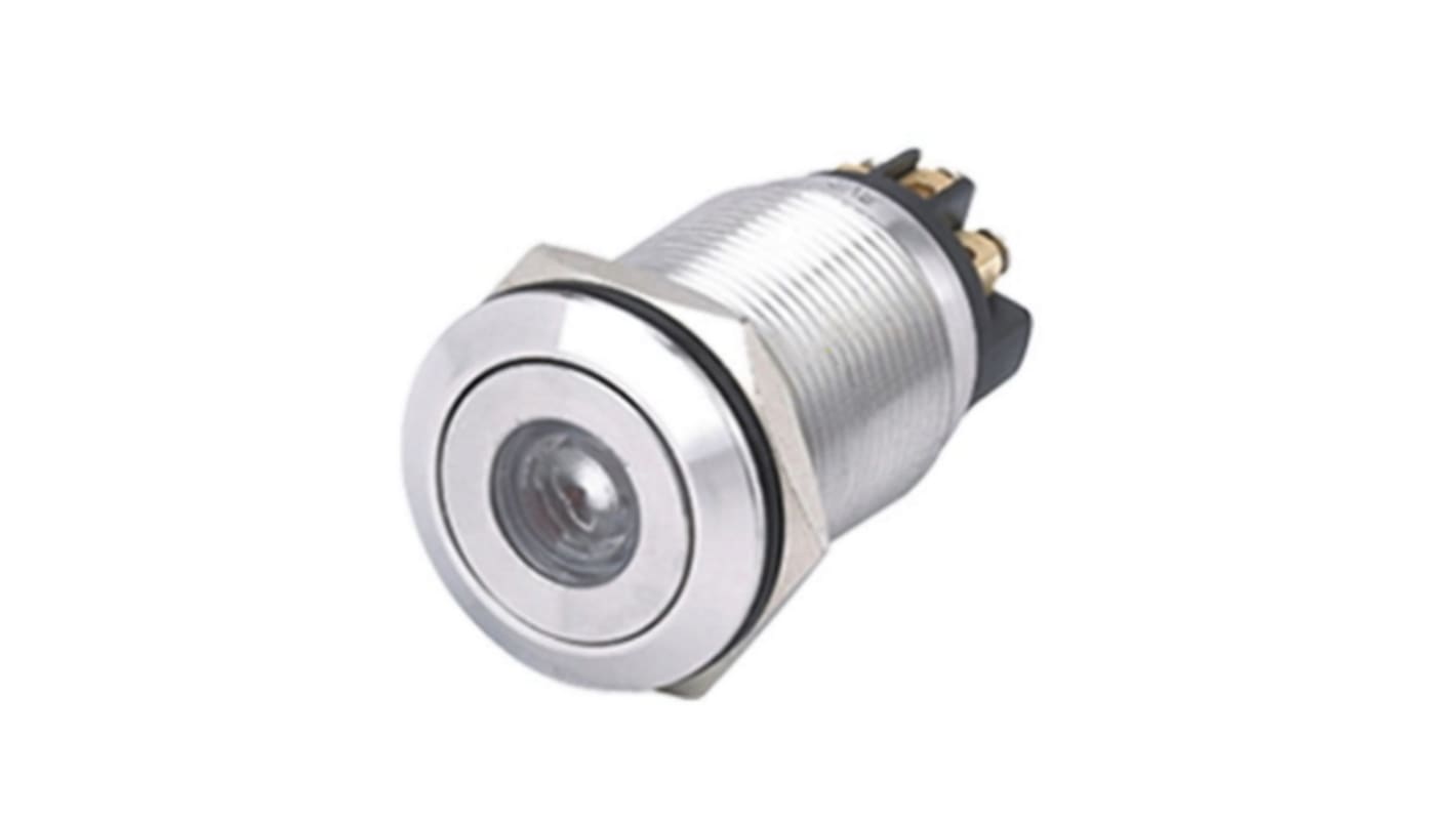 RS PRO Illuminated Push Button Switch, Momentary, Panel Mount, 19.2mm Cutout, DPST, Green LED, 250V ac, IP65