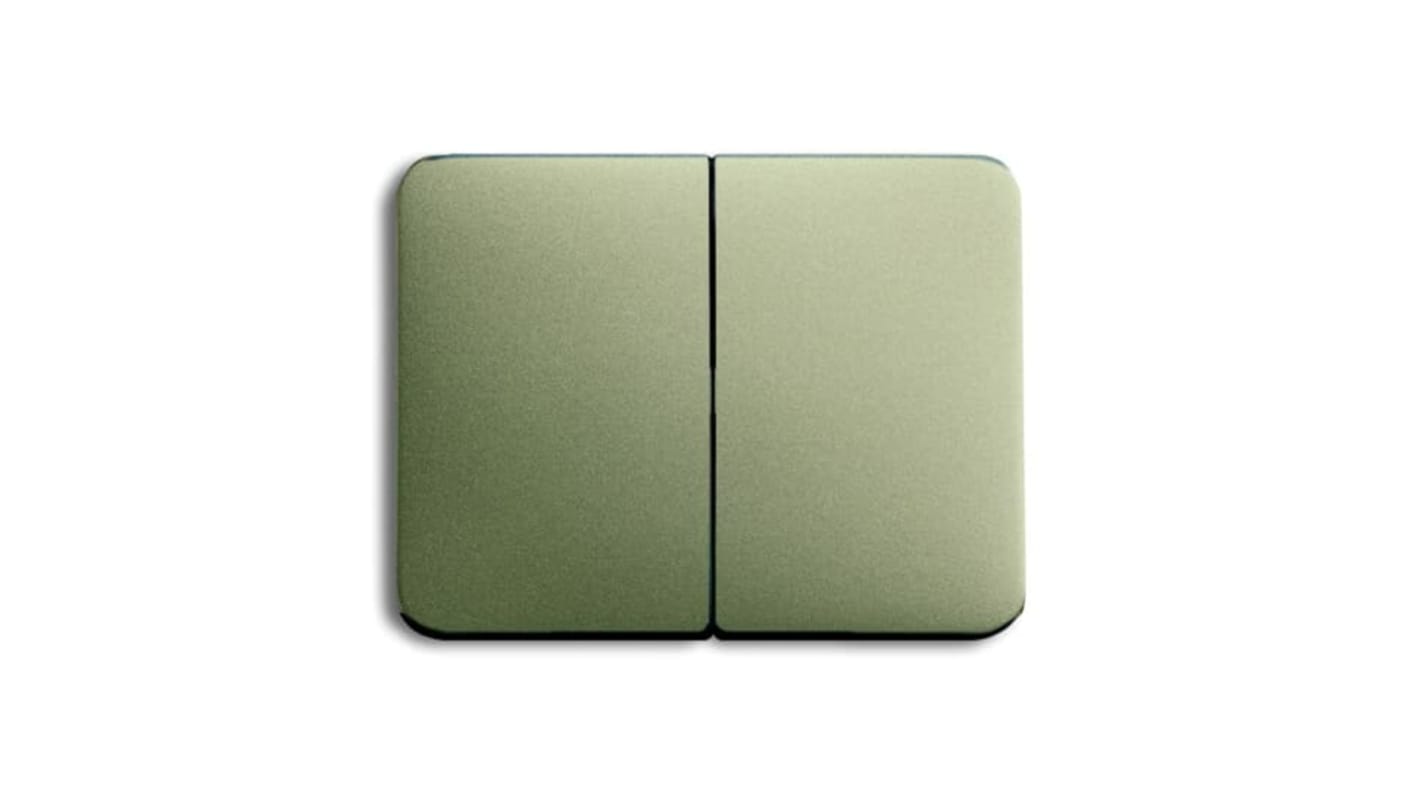 ABB Grey 2 Gang Light Switch Cover