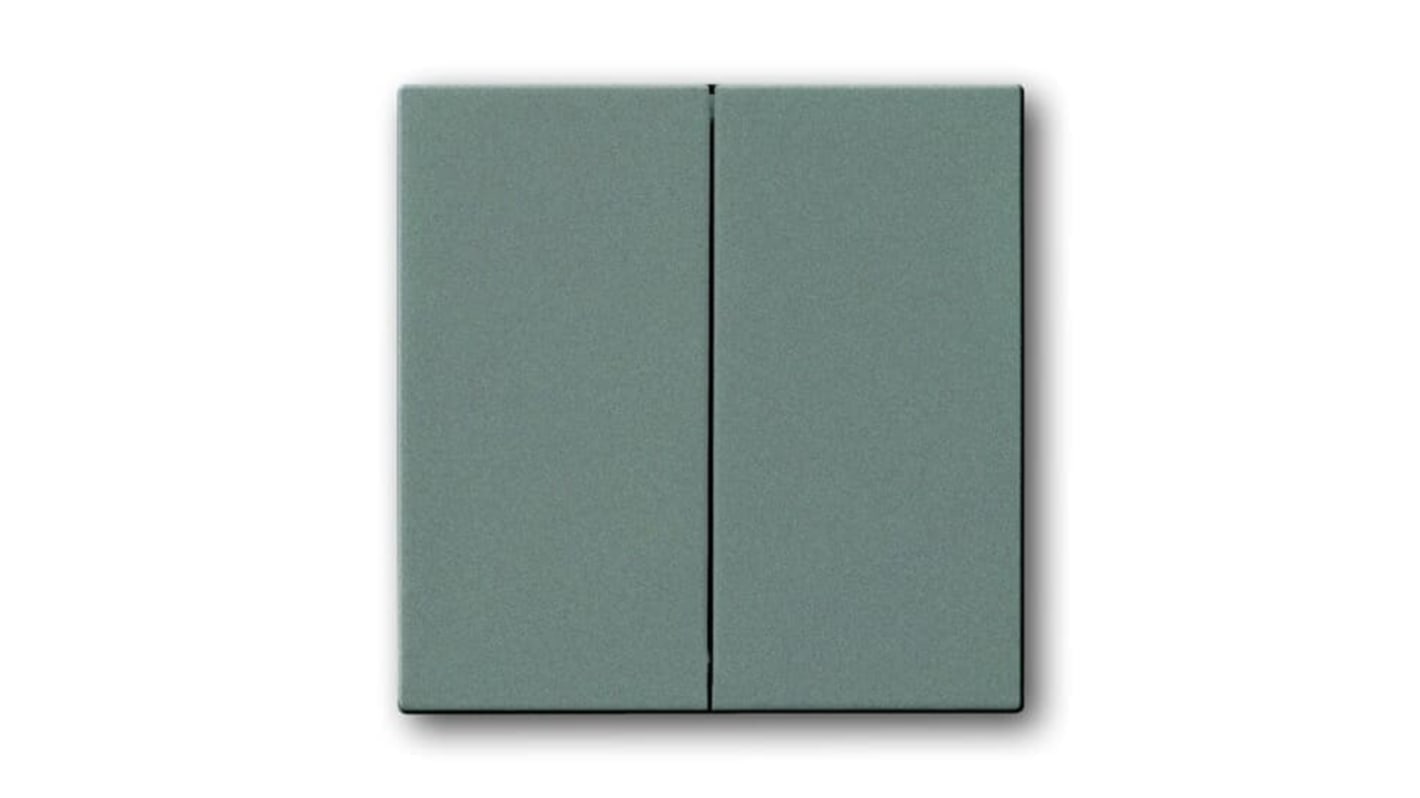 ABB Grey 2 Gang Light Switch Cover