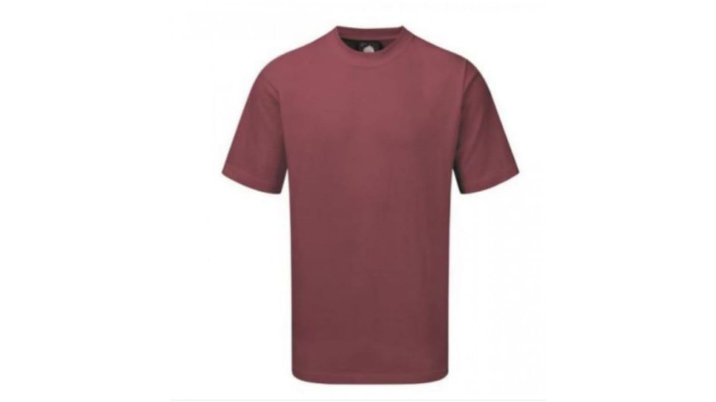 100 rs t shirt sale