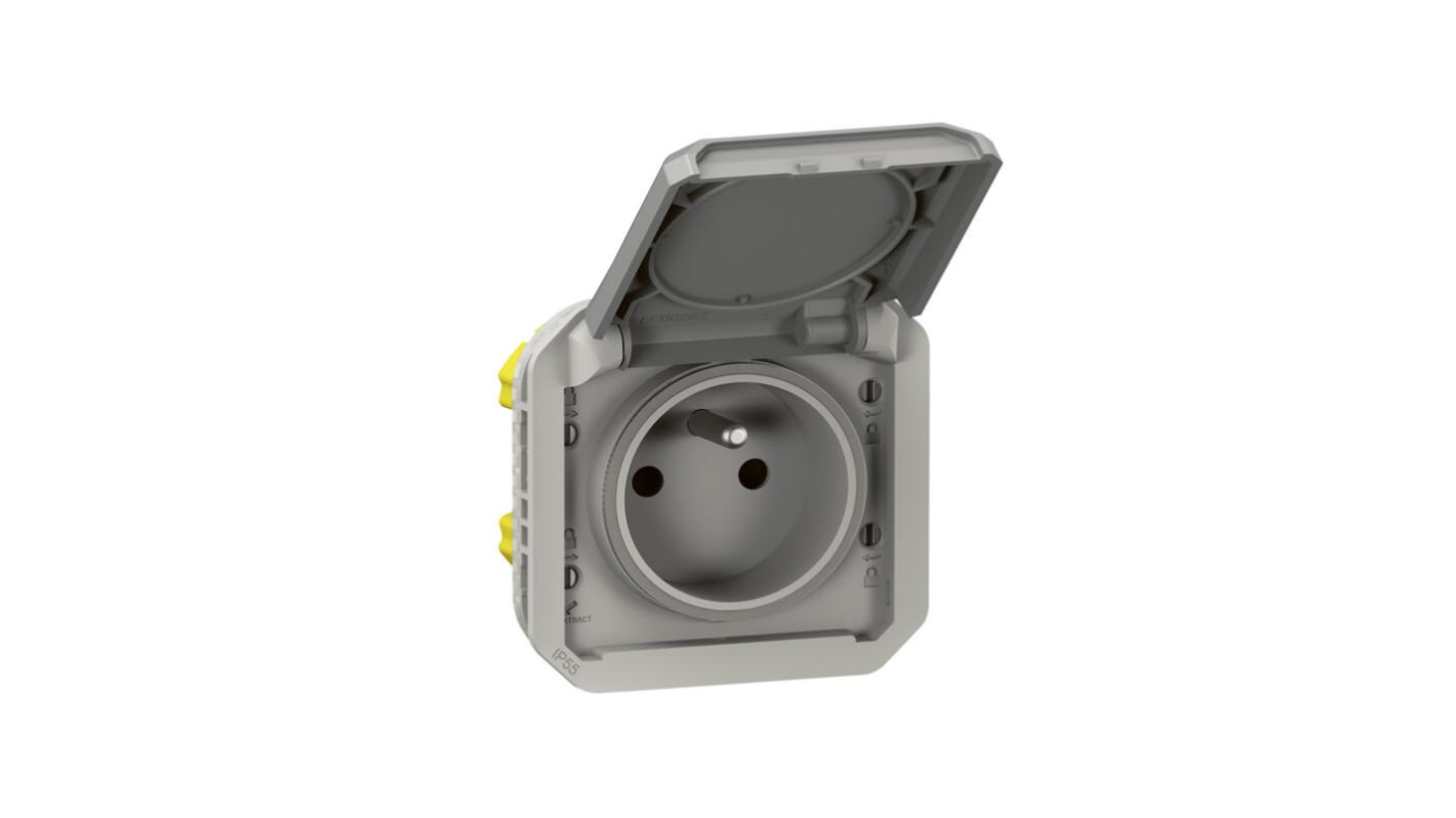 Legrand Grey Plug Socket, 2 Poles, NF Socket