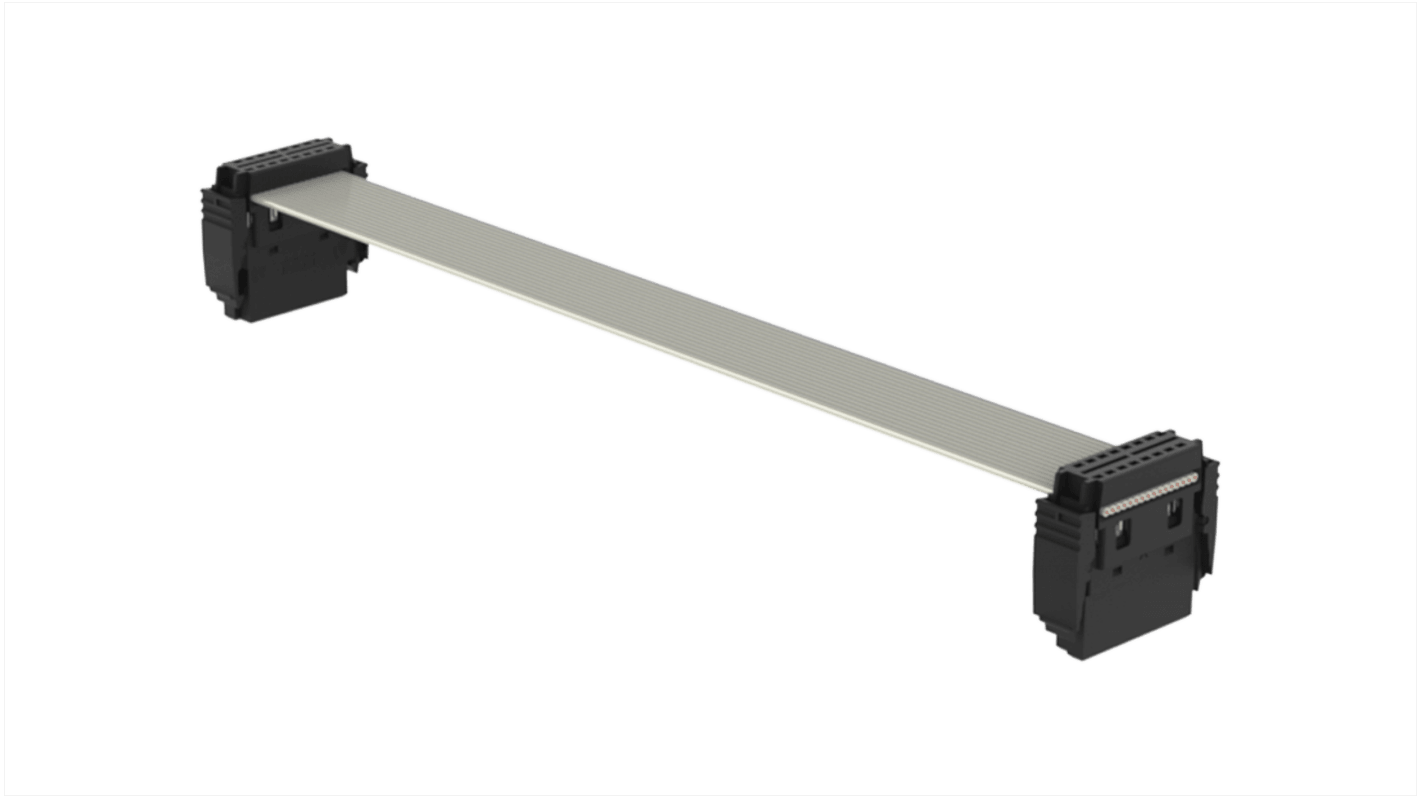 ERNI SMC Series Ribbon Cable Assembly, 200mm Length, AU IDC to AUI IDC