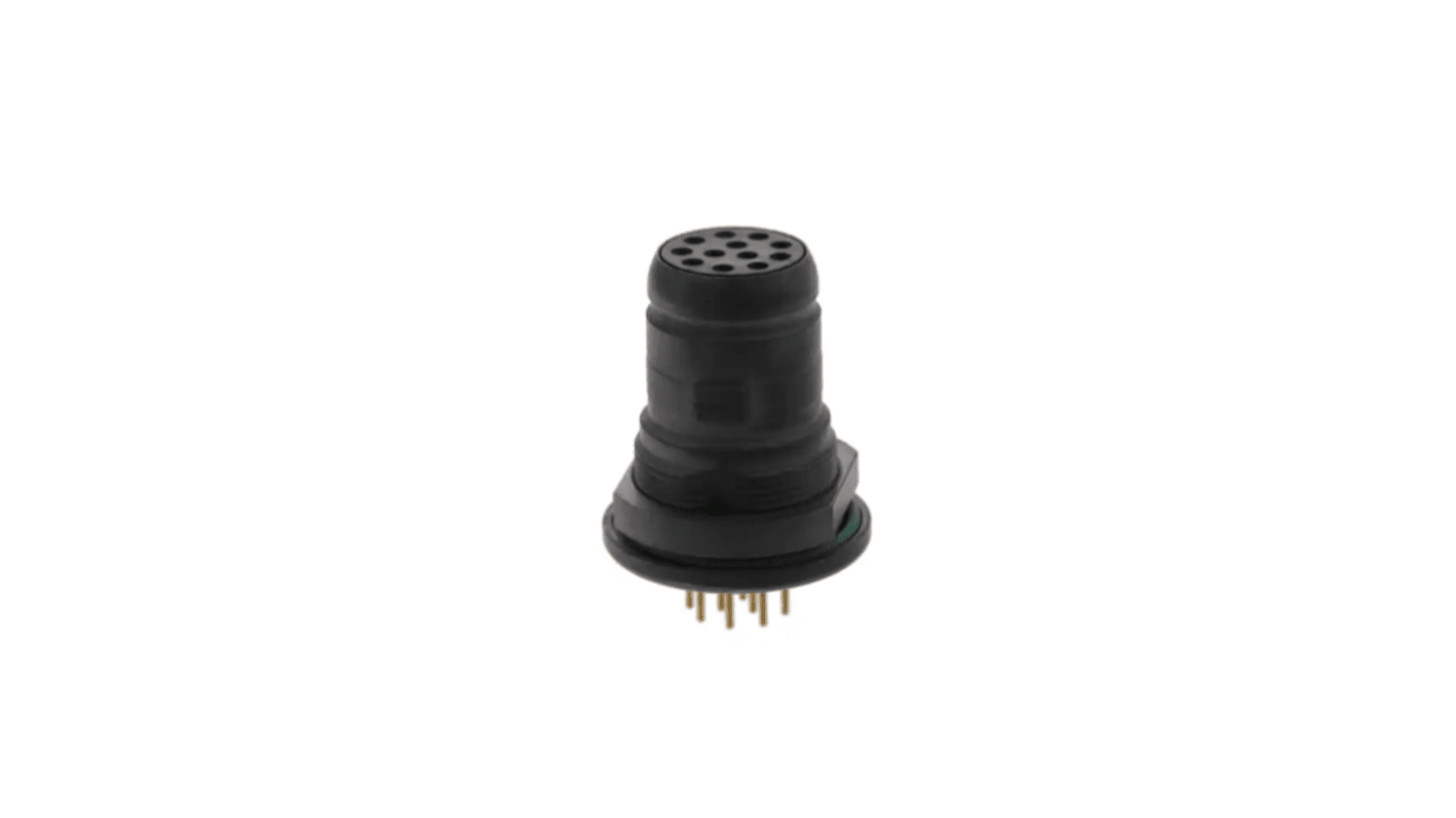 Conector circular Amphenol Limited Conector hembra serie Terrapin de 10 vías hembra