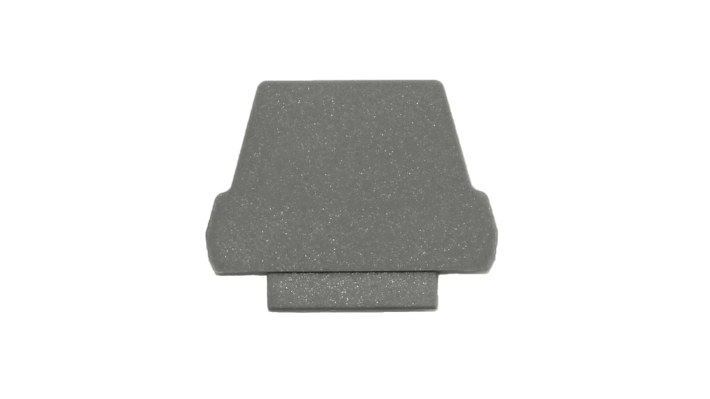 RS PRO End Plate for Use with FAP 4 Terminal Blocks, RS PRO FAP 2.5