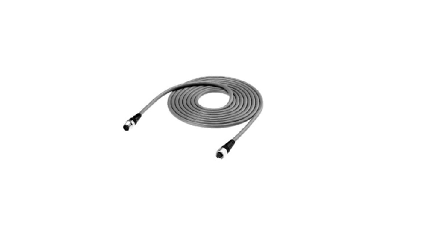 Kabel do siłownika/czujnika ze złączem Złącze M12 długość 500mm Rodzaj A Żeńskie Złącze B Złącze M12