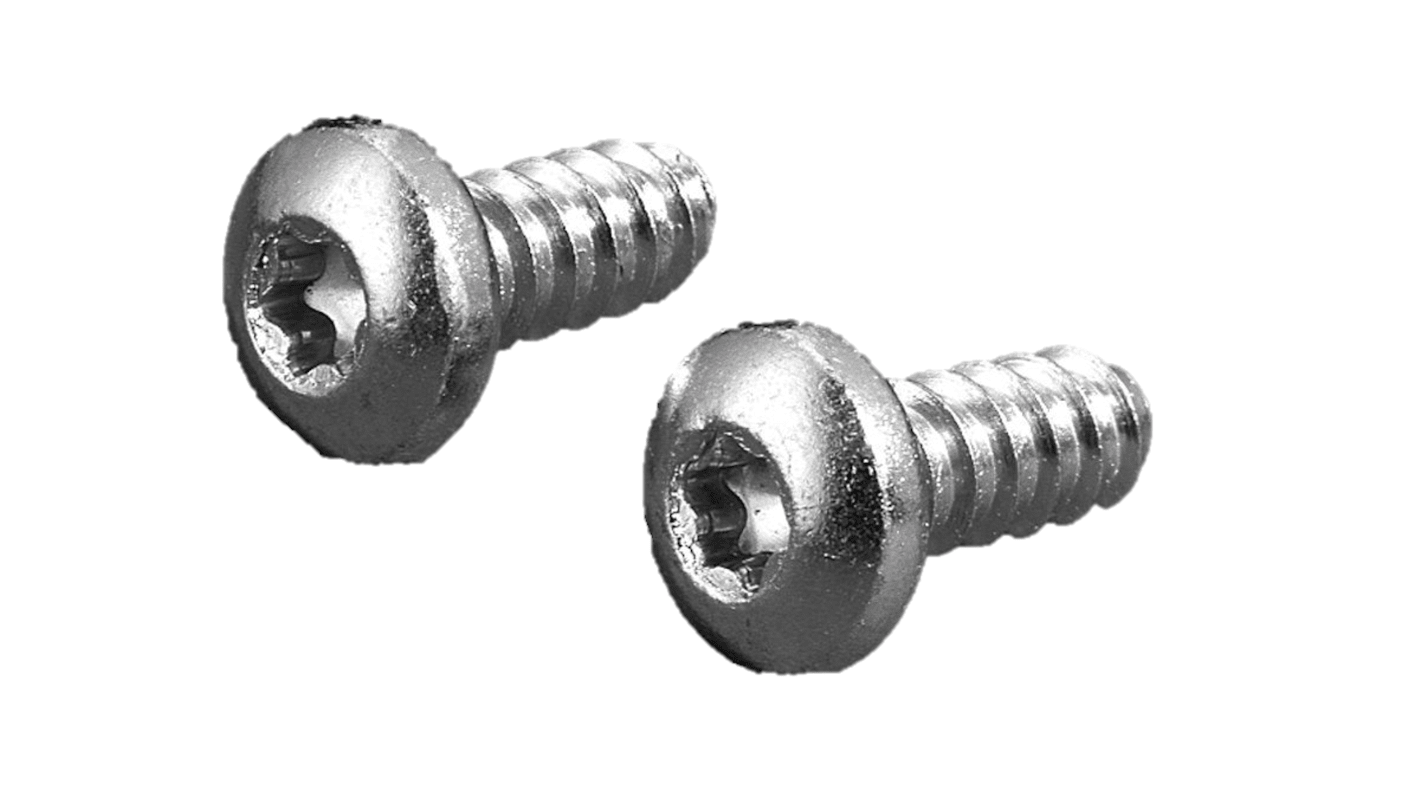 Rittal Schrauben x 13.0mm