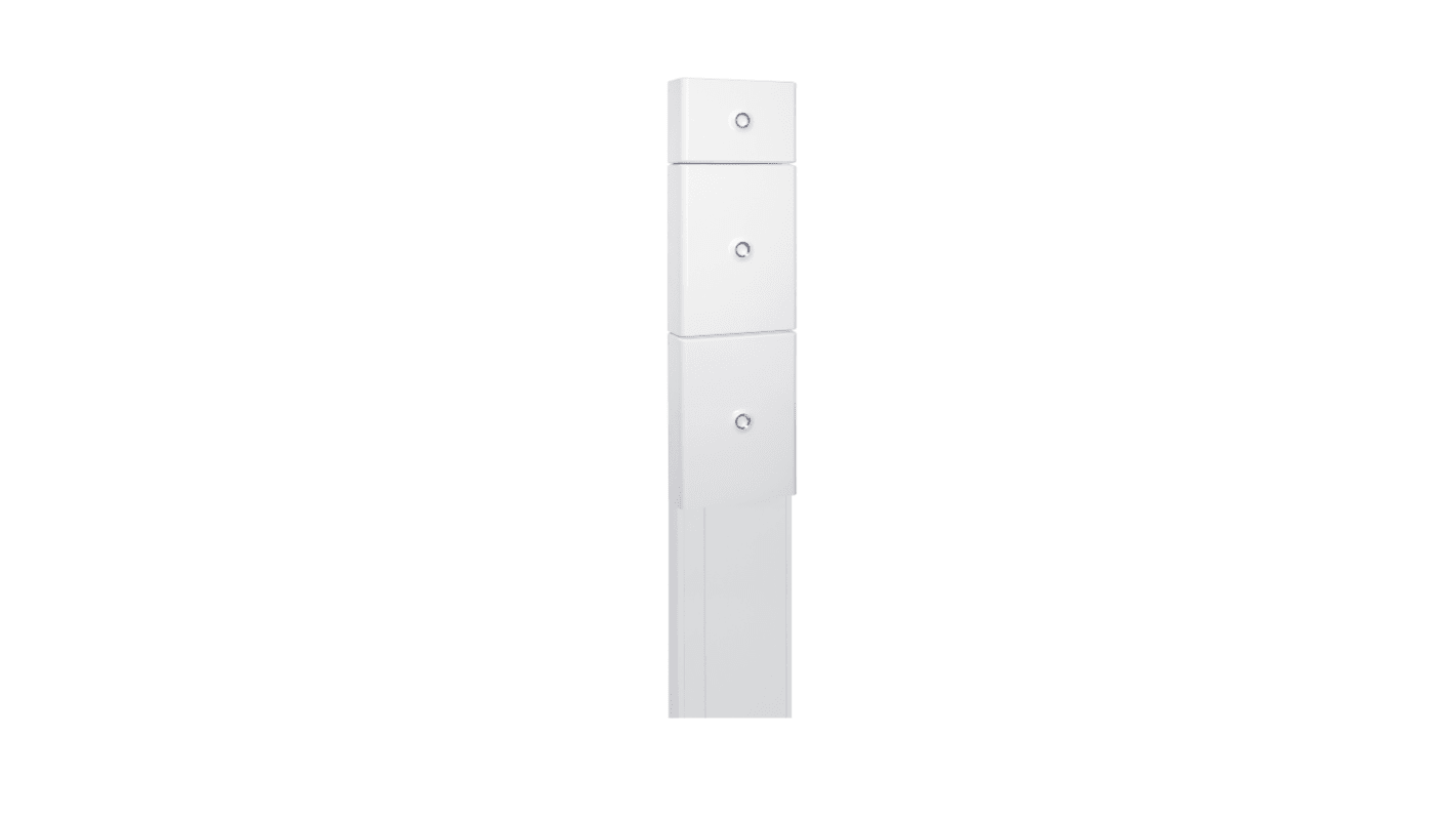 Legrand White, W250 mm x D65mm, L1.66m, PVC