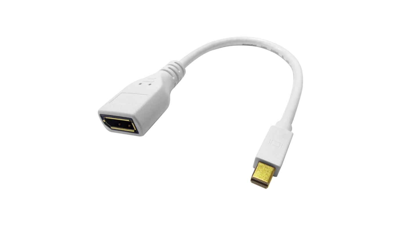 Kabel DisplayPort długość 210mm B: Display Port A: Złącze DP (Display Port) Mini męskie v. 1.2 Roline 3840 x 2160