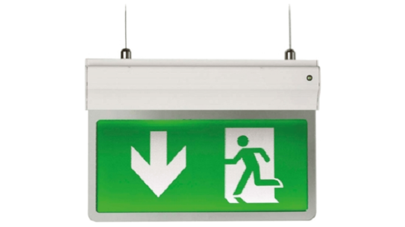Ansell Lighting LED  Notbeleuchtung, 50 mm x 375 mm x 185 mm