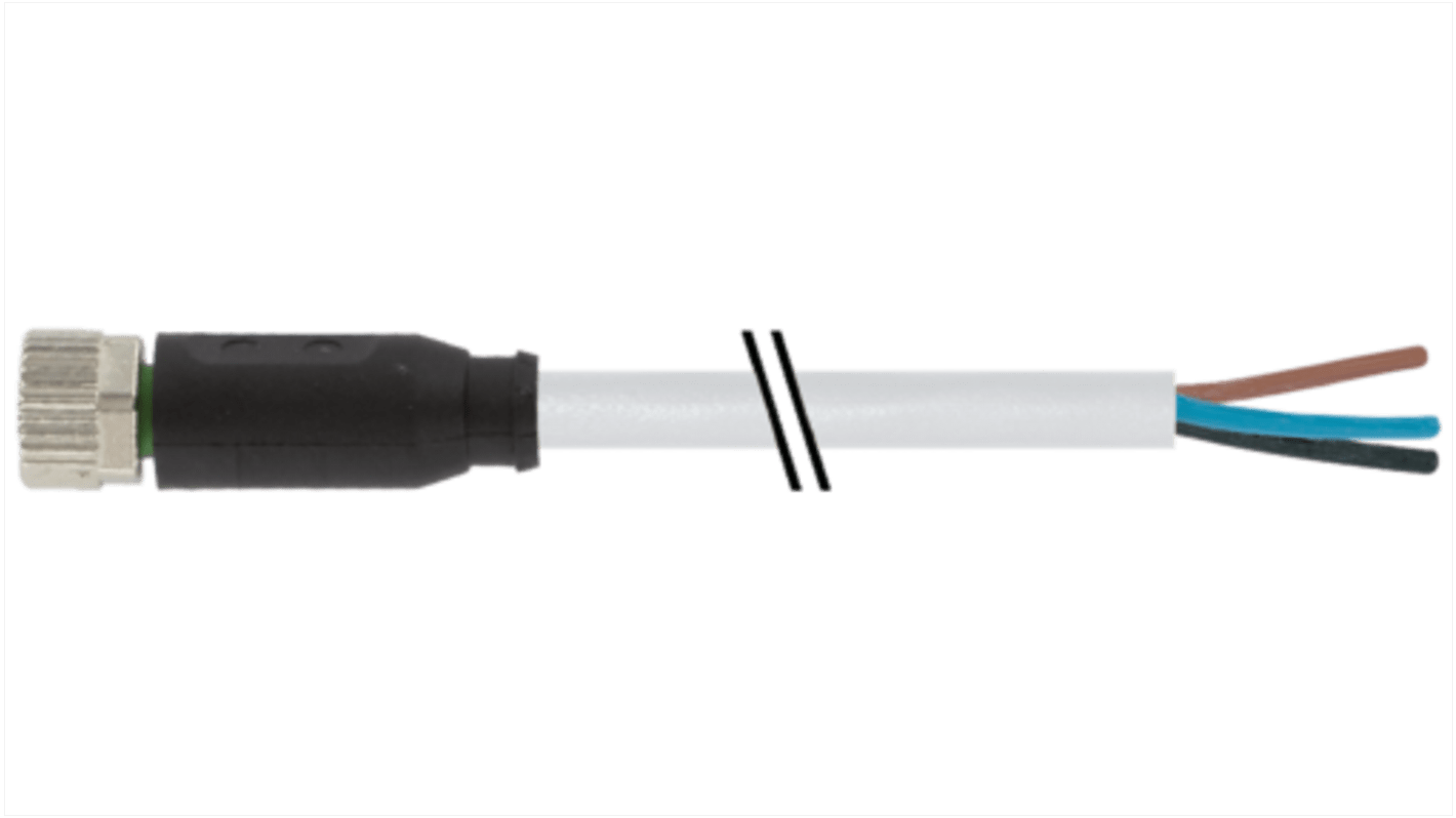 Connettore e cavo Murrelektronik Limited M8 Femmina, L. 10m