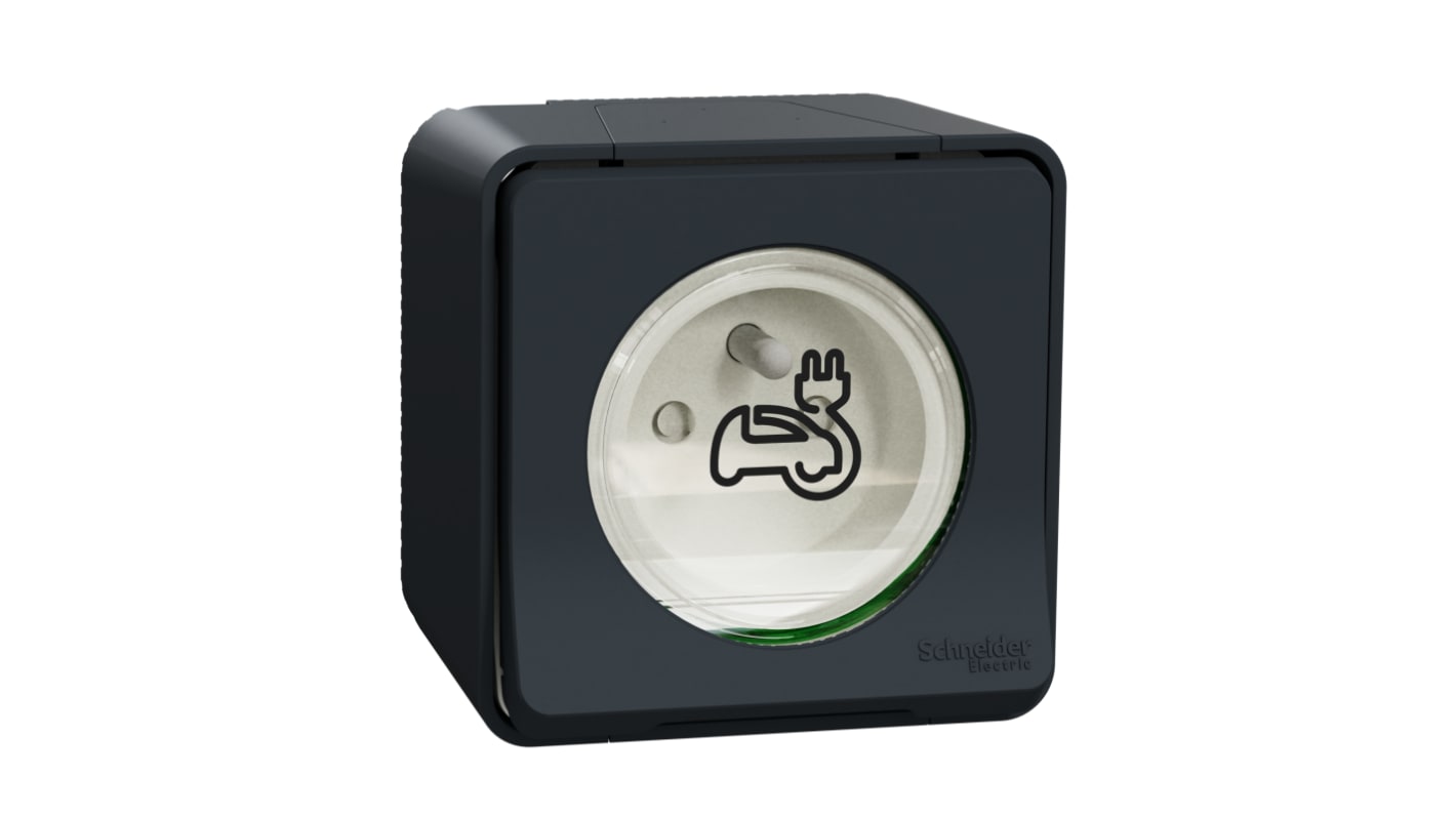Schneider Electric Mureva Styl Grey 1 Gang EV Charging Socket, 2 Poles, 16A, French 2P, Indoor, Outdoor Use