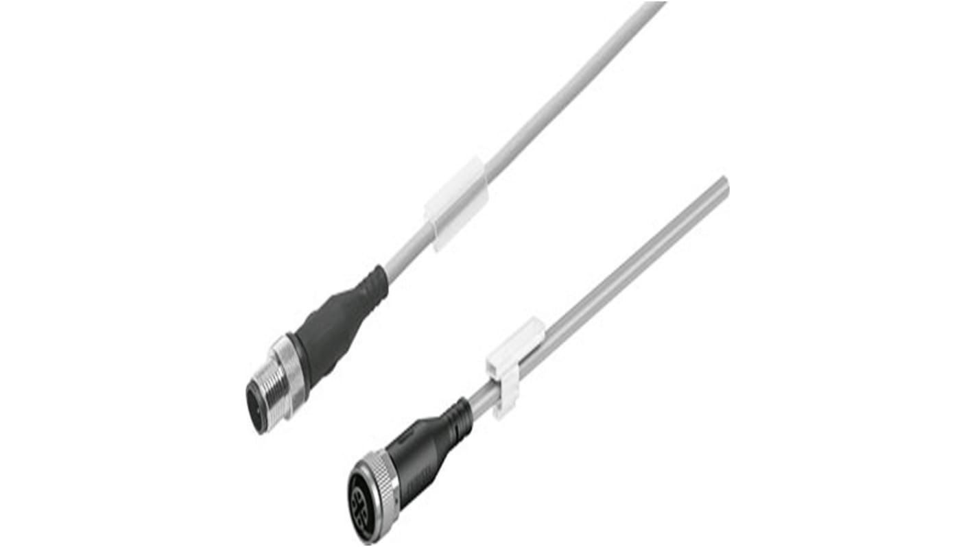Straight Female 5 way M8 to Straight Female 3 way M8 Cable, 1m