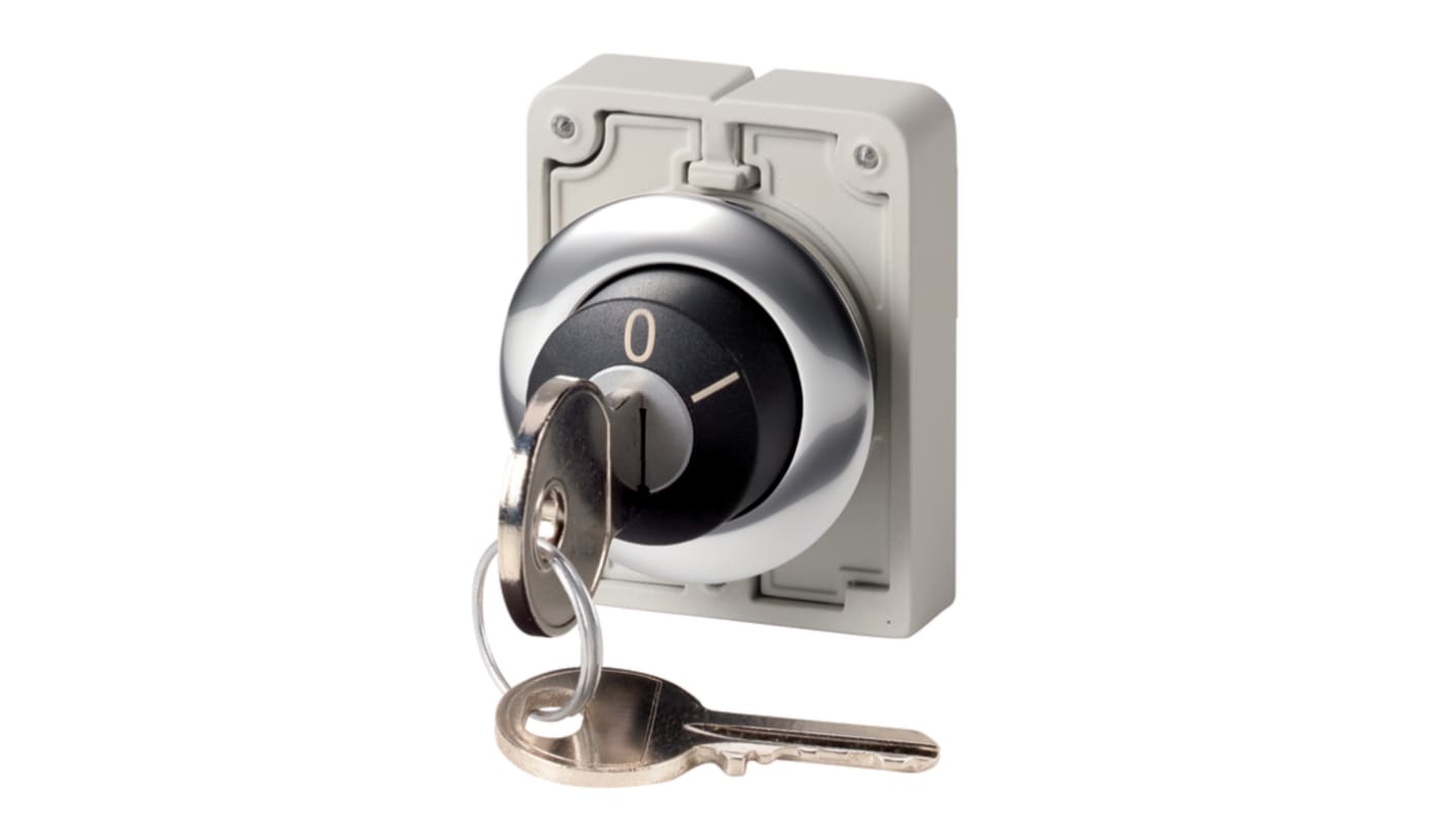 Eaton IP64 Keylock Switch 2-Way Ronis-Key
