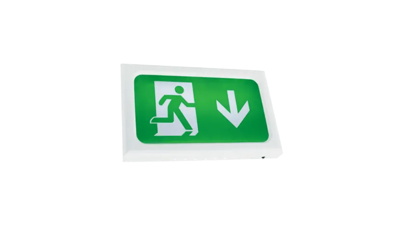 Lampada di emergenza Fluorescente Ansell Lighting, L. 316 mm, 3 W, autonomia 50000h