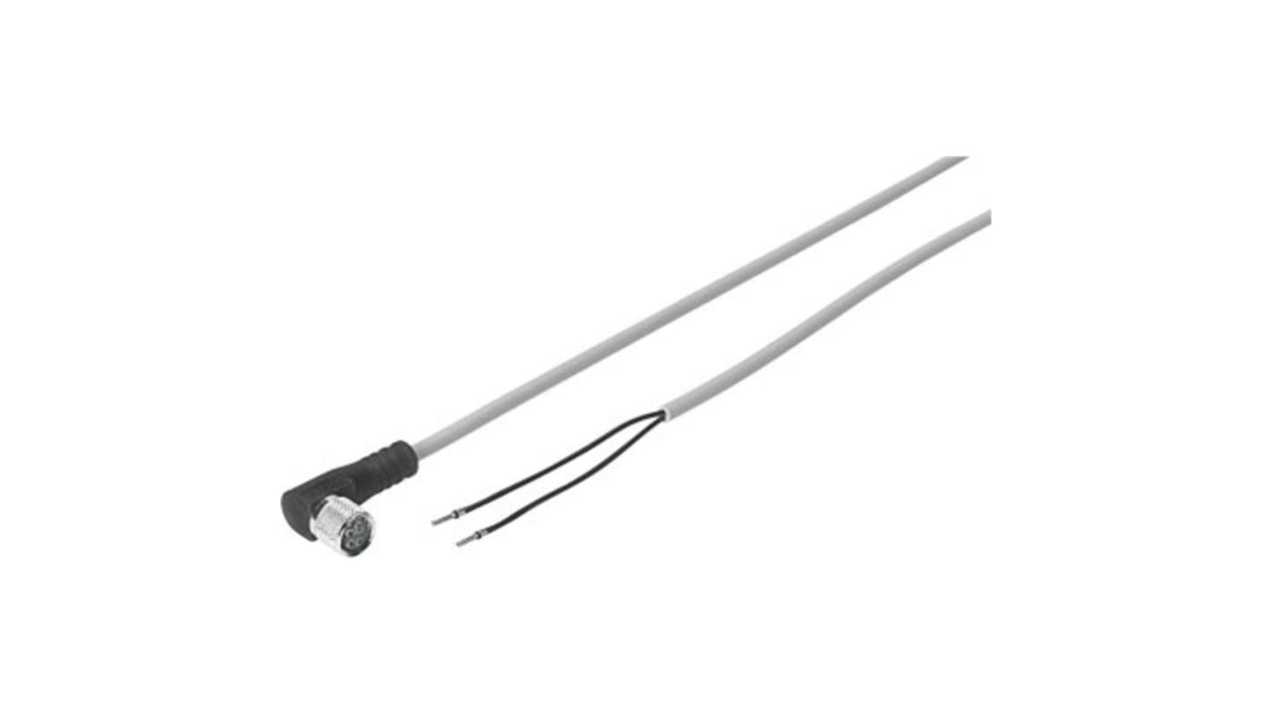 Festo NEBV Cable, 562472