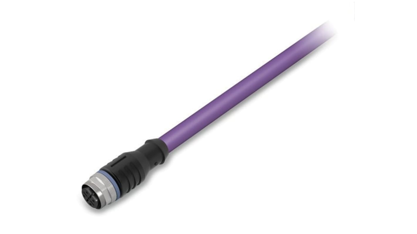 Kabel do siłownika/czujnika ze złączem Złącze M12 liczba rdzeni 5 długość 5m Rodzaj A Żeńskie