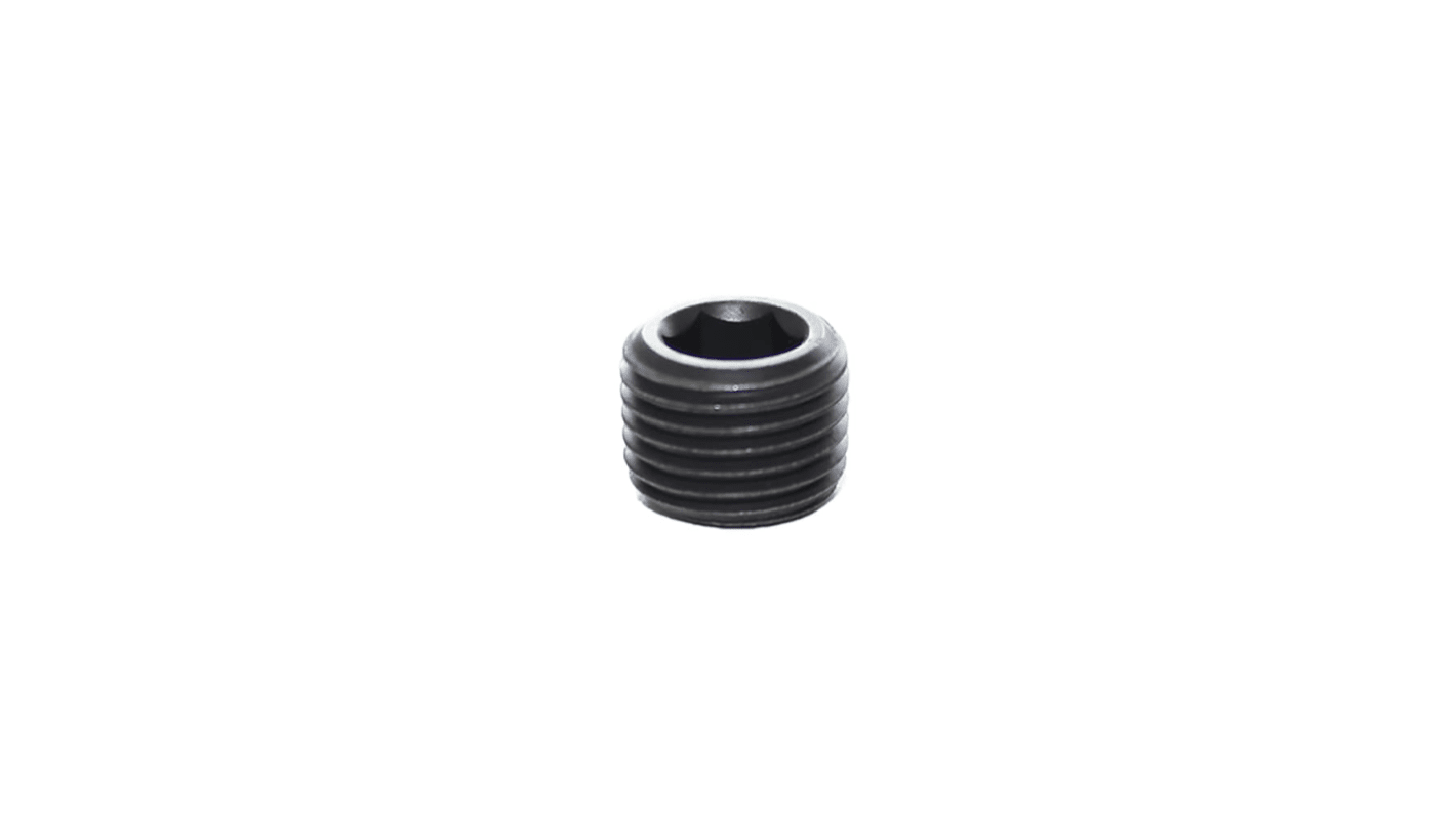 Legris NPT 1/8 Male Blanking Plug