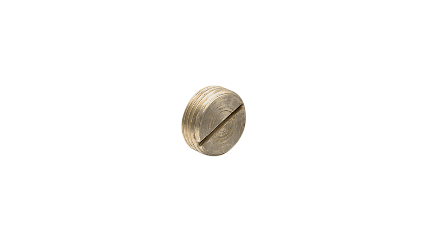 Clipsal Electrical Conduit Plug, Conduit Fitting, 20mm Nominal Size, 20mm, Brass, Metal