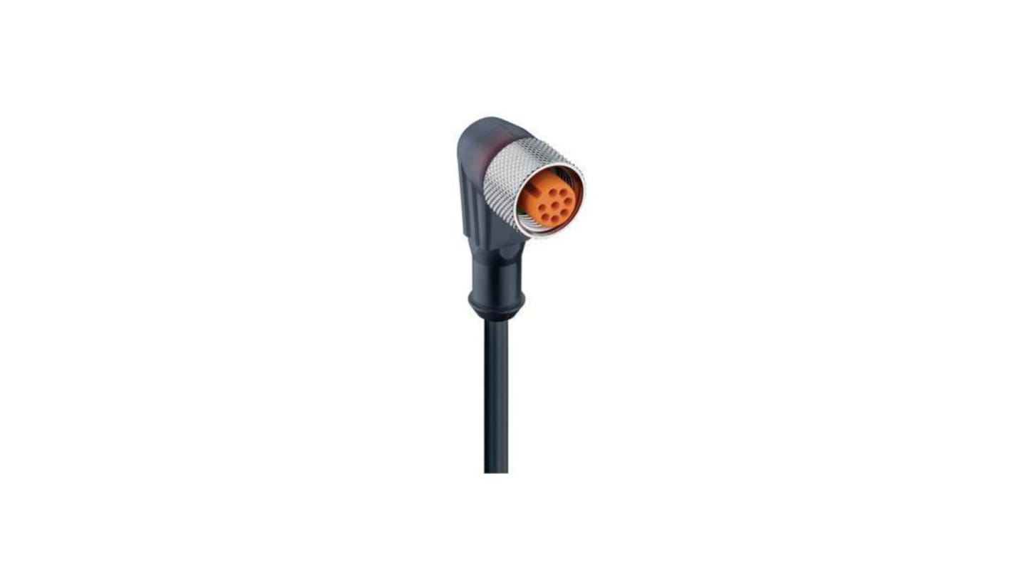 Złącze i kabel ze złączem Złącze M12 liczba rdzeni 4 długość 1m Rodzaj A Męskie Złącze B RJ45