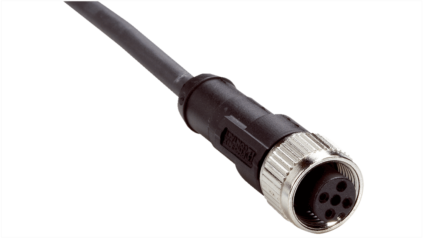 Złącze i kabel ze złączem Złącze M12 liczba rdzeni 4 długość 2m Rodzaj A Żeńskie