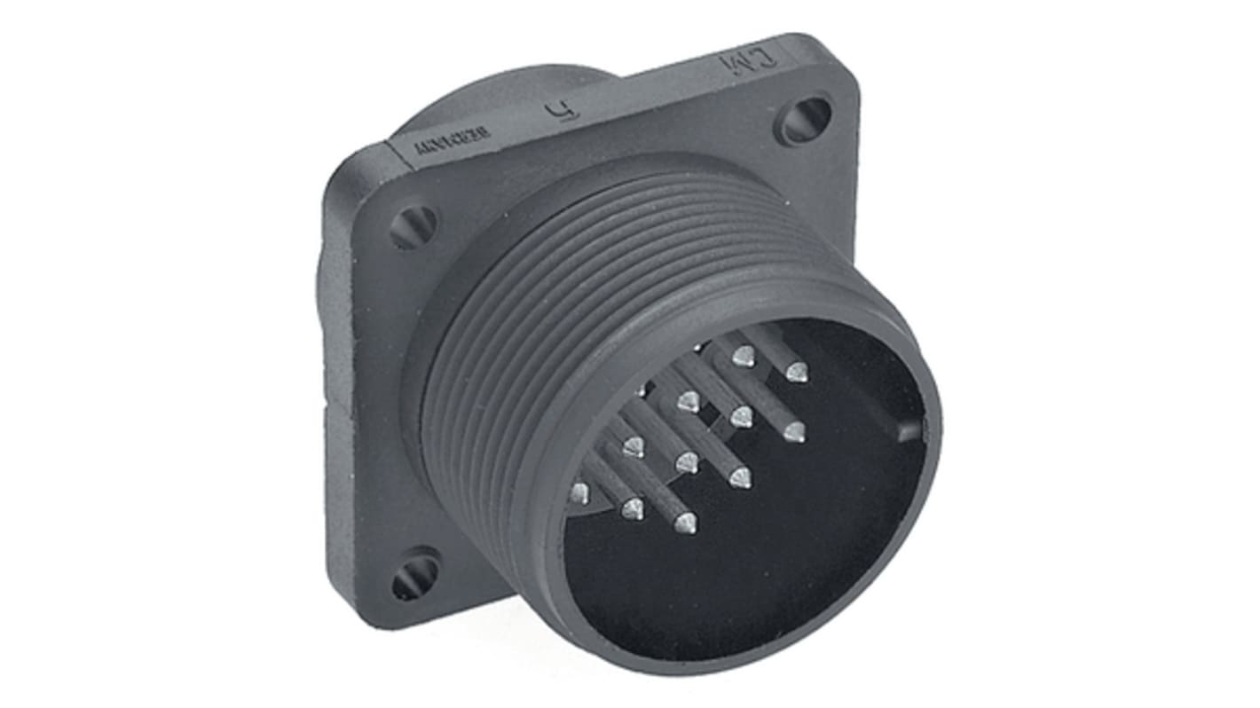 Connettore circolare MIL Connettore maschio Hirschmann, Ad angolo diritto, Maschio, Montaggio a pannello
