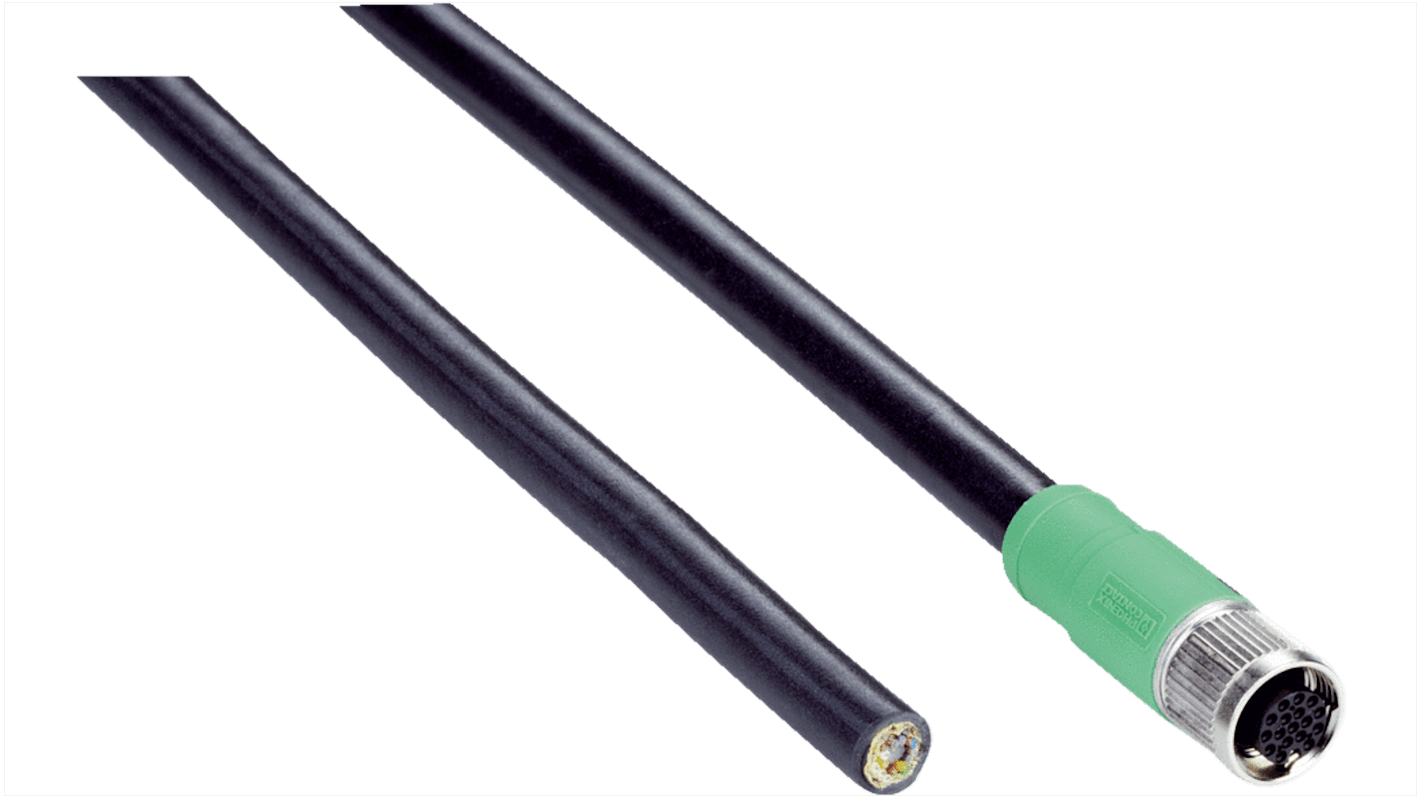 SICK Straight Female 17 way M12 to Unterminated Connector & Cable, 5m