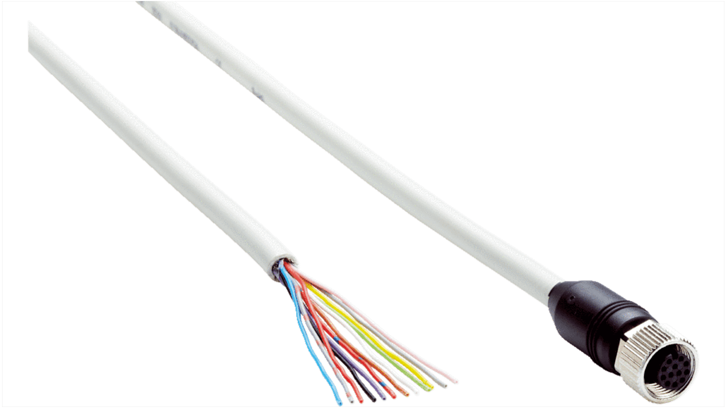 Sick Straight Female 12 way M12 to Unterminated Connector & Cable, 2m