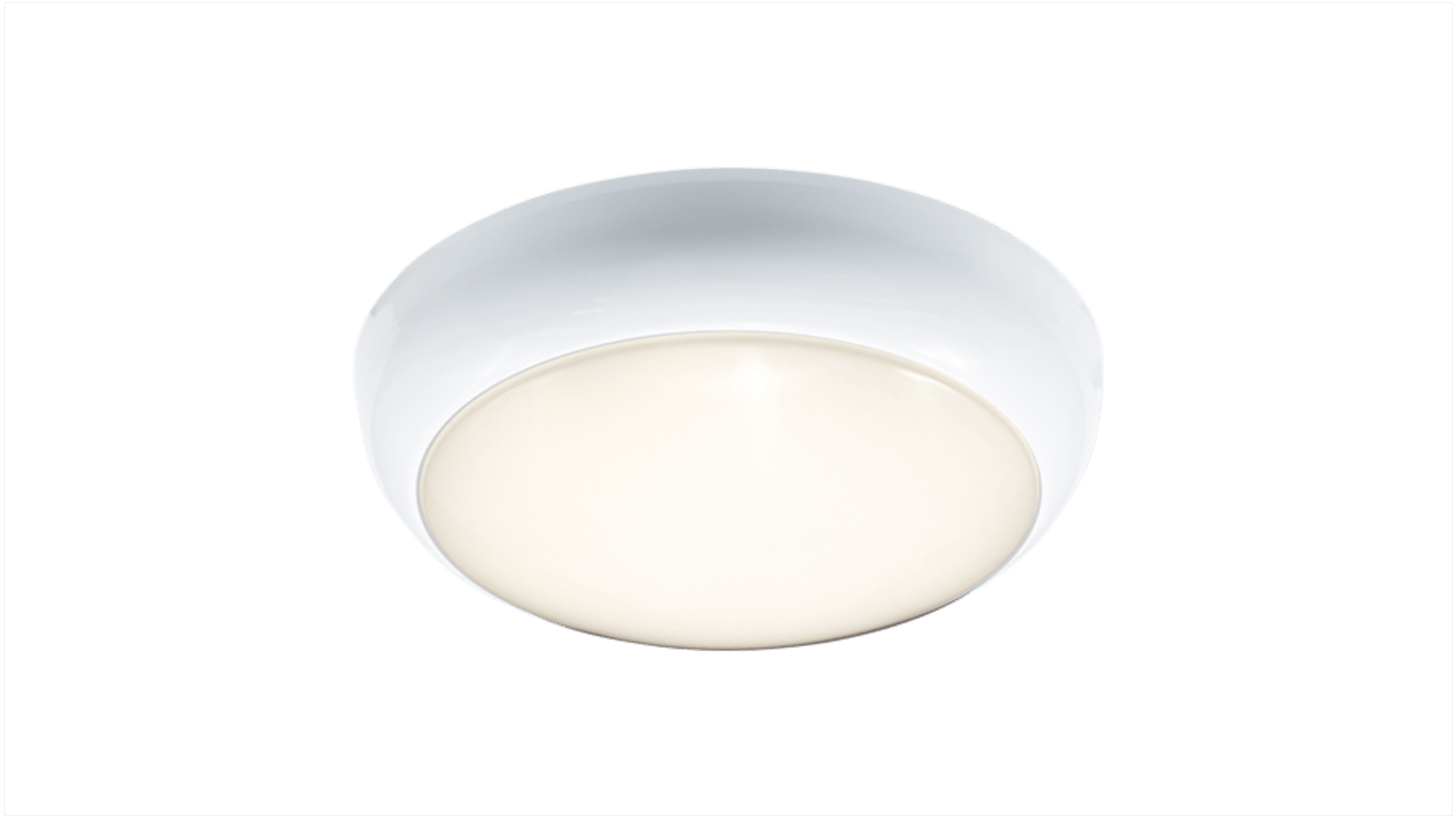 Ansell Lighting Oval LED Bulkhead Light, 16 W, 240 V, IP65, Disco EVO 2