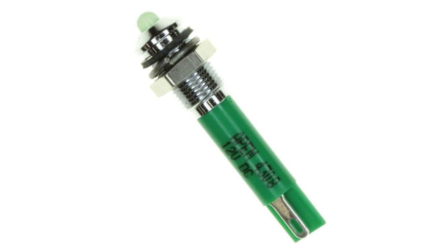 APEM Q6 Series Green Panel Mount Indicator, 12V dc, 6mm Mounting Hole Size, Faston, Solder Lug Termination, IP67