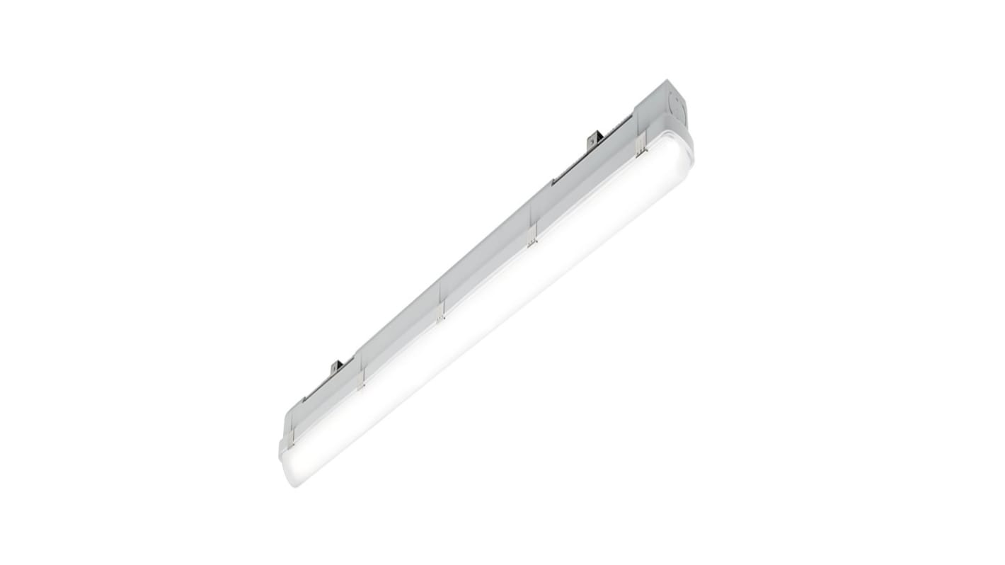 Sylvania 36 WLED灯具 吸顶灯, 220-240 V, 1.2 m长, LED灯, IP66防护等级