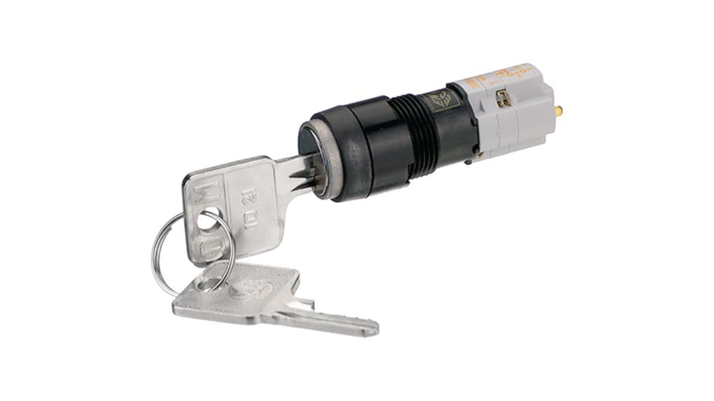 RAFI IP40 Key Switch, 1 NO + 1 NC, 4A