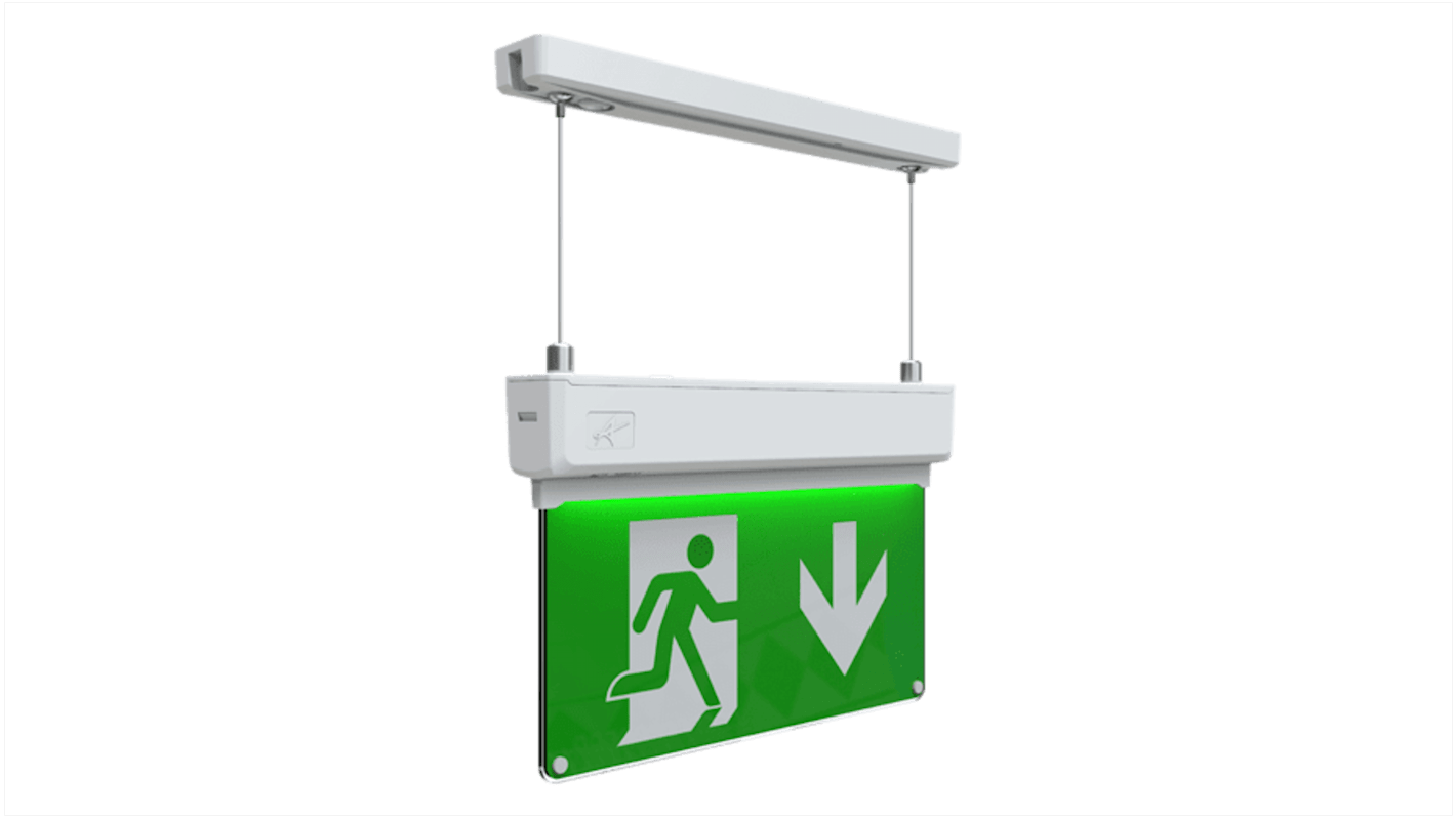 Polycarbonate Emergency Exit Down, None,  With Pictogram Only, Exit Sign