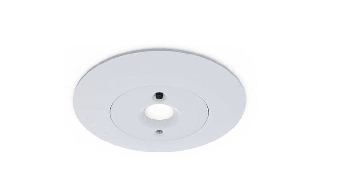 Ansell LED Leiste / Downlight, LED, 5 W / 220/240 V, 85 x 57 mm