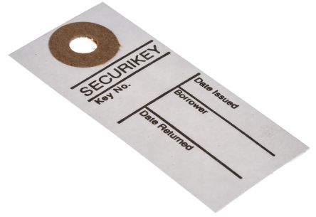 Securikey 定位卡, 标签片, 250件装